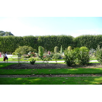 รูปถ่าย ฝรั่งเศส(France) ปารีส(Paris) สวนพันธ์ุพืช(Jardin des Plantes) 2007-08 9