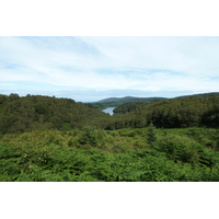 รูปถ่าย อังกฤษ(United Kingdom) ทรอสซักส์(The Trossachs) 2011-07 28
