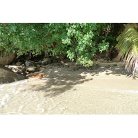รูปถ่าย เซเชลส์(Seychelles) เกาะมาเฮ(Mahe) 2011-10 181