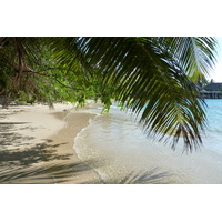 รูปถ่าย เซเชลส์(Seychelles) เกาะมาเฮ(Mahe) 2011-10 207