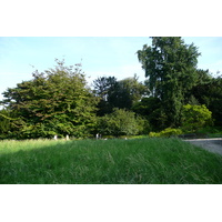 รูปถ่าย ฝรั่งเศส(France) ปารีส(Paris) สวนพันธ์ุพืช(Jardin des Plantes) 2007-08 92