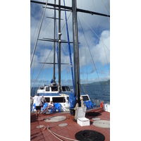 รูปถ่าย เซเชลส์(Seychelles) ซีสตาร์(Sea Star) 2011-10 57