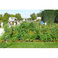 รูปถ่าย ฝรั่งเศส(France) ปารีส(Paris) สวนพันธ์ุพืช(Jardin des Plantes) 2007-08 204