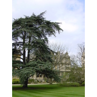 รูปถ่าย อังกฤษ(United Kingdom) อ็อกฟอร์ด(Oxford) 2001-04 32