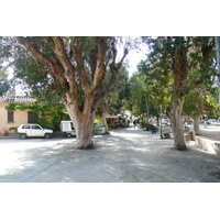รูปถ่าย ฝรั่งเศส(France) เกาะปอร์เกอรอล(Porquerolles Island) ปอร์เกอรอล(Porquerolles) 2008-05 39