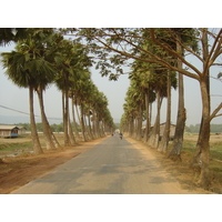 รูปถ่าย พม่า(Myanmar) ทวาย(Dawei (TAVOY)) 2005-01 39