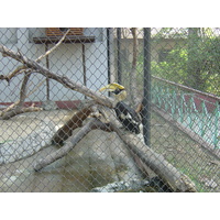 รูปถ่าย พม่า(Myanmar) ย่างกุ้ง(Yangon) 2005-01 203