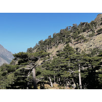 รูปถ่าย ฝรั่งเศส(France) คอร์สิคา(Corsica) ภูเขามอนเตชินโต(Monte Cinto) 2023-10 159