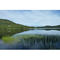 รูปถ่าย อังกฤษ(United Kingdom) ทรอสซักส์(The Trossachs) 2011-07 111