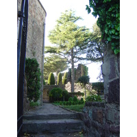 รูปถ่าย ฝรั่งเศส(France) ลานาปูล(La Napoule) 2005-05 0