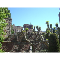 รูปถ่าย ฝรั่งเศส(France) ลานาปูล(La Napoule) 2005-05 45