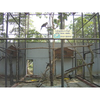 รูปถ่าย พม่า(Myanmar) ย่างกุ้ง(Yangon) 2005-01 202