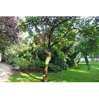 รูปถ่าย ฝรั่งเศส(France) ปารีส(Paris) สวนพันธ์ุพืช(Jardin des Plantes) 2007-08 116
