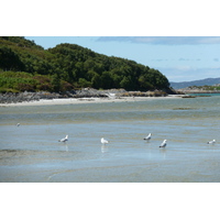 รูปถ่าย อังกฤษ(United Kingdom) สกอตแลนด์(Scotland) ชายฝั่งแอริเซก(Arisaig coast) 2011-07 37