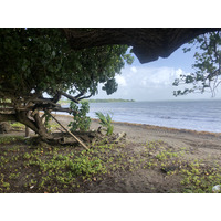 รูปถ่าย กวาเดอลูป(Guadeloupe) หาดวียาร์(Viard Beach) 2021-02 6