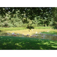 รูปถ่าย ฝรั่งเศส(France) บรอแฟร์เร(Branfere) 2004-08 14