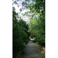รูปถ่าย ฝรั่งเศส(France) ปารีส(Paris) สวนบุต-โชมง(Parc des Buttes Chaumont) 2007-08 275
