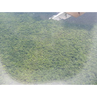 รูปถ่าย นิวแคลิโดเนีย(New Caledonia) ถ่ายจากข้างบน(From the Sky) 2010-05 35