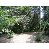 รูปถ่าย ฝรั่งเศส(France) ปารีส(Paris) สวนบุต-โชมง(Parc des Buttes Chaumont) 2007-08 265