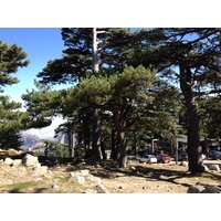 รูปถ่าย ฝรั่งเศส(France) คอร์สิคา(Corsica) บาแวลลา(Bavella) 2012-09 8