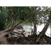 รูปถ่าย คอสตาริกา(Costa Rica) กาอุยตา(Cahuita) 2015-03 232