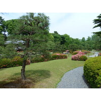 รูปถ่าย ญี่ปุ่น(Japan) เกียวโต(Kyoto) ปราสาทนิโจ(Nijo Castle) 2010-06 104