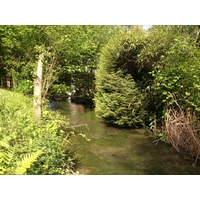 รูปถ่าย ฝรั่งเศส(France) ลียงส์-ลา-ฟอแร(Lyons La Foret) 2014-05 74