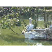 รูปถ่าย ฝรั่งเศส(France) บรอแฟร์เร(Branfere) 2004-08 11