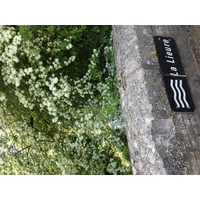 รูปถ่าย ฝรั่งเศส(France) ลียงส์-ลา-ฟอแร(Lyons La Foret) 2014-05 95