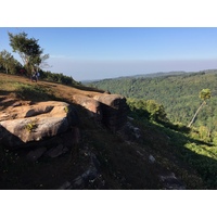 รูปถ่าย ไทย(Thailand) อุทยานแห่งชาติภูหินร่องกล้า(Phu Hin Rong Kla National Park) 2014-12 106