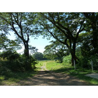 รูปถ่าย ฟิจิ(Fiji) แม่น้ำซิงกาโตกา(Sigatoka river) 2010-05 43