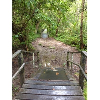 รูปถ่าย คอสตาริกา(Costa Rica) กาอุยตา(Cahuita) 2015-03 254