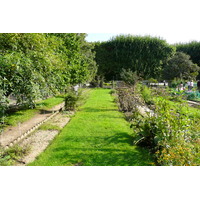 รูปถ่าย ฝรั่งเศส(France) ปารีส(Paris) สวนพันธ์ุพืช(Jardin des Plantes) 2007-08 95
