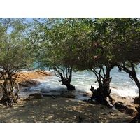รูปถ่าย ไทย(Thailand) เกาะเสม็ด(Ko Samet) 2014-12 320
