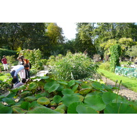 รูปถ่าย ฝรั่งเศส(France) ปารีส(Paris) สวนพันธ์ุพืช(Jardin des Plantes) 2007-08 74