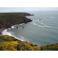 รูปถ่าย อังกฤษ(United Kingdom) เปมโบรคเชอร์(Pembrokeshire) แหลมเซนต์แอนส์(St. Ann's Head) 2006-05 6
