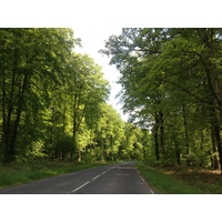 รูปถ่าย ฝรั่งเศส(France) ลียงส์-ลา-ฟอแร(Lyons La Foret) 2014-05 87