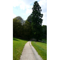 รูปถ่าย ฝรั่งเศส(France) ปารีส(Paris) สวนบุต-โชมง(Parc des Buttes Chaumont) 2007-08 233