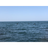 รูปถ่าย ฝรั่งเศส(France) กอลียูร์(Collioure) 2018-04 220