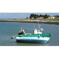 รูปถ่าย ฝรั่งเศส(France) ลาแปลน-ซูร์-แมร์(La Plaine sur mer) ท่าเรือลากราแว็ต(Port de la gravette) 2007-07 18