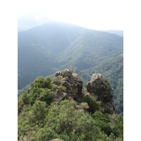รูปถ่าย ฝรั่งเศส(France) คอร์สิคา(Corsica) วัลเล-ดาเลซานี(Valle d'alesani) 2006-09 55