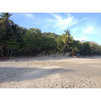 รูปถ่าย คอสตาริกา(Costa Rica) มอนเตซูมา(Montezuma) 2015-03 431