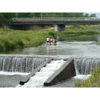 รูปถ่าย ญี่ปุ่น(Japan) เกียวโต(Kyoto) แม่น้ำคาโมะ(Kamo River) 2010-06 26