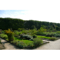 รูปถ่าย ฝรั่งเศส(France) ปารีส(Paris) สวนพันธ์ุพืช(Jardin des Plantes) 2007-08 78