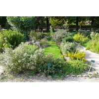 รูปถ่าย ฝรั่งเศส(France) ปารีส(Paris) สวนพันธ์ุพืช(Jardin des Plantes) 2007-08 97