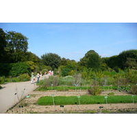 รูปถ่าย ฝรั่งเศส(France) ปารีส(Paris) สวนพันธ์ุพืช(Jardin des Plantes) 2007-08 96