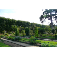 รูปถ่าย ฝรั่งเศส(France) ปารีส(Paris) สวนพันธ์ุพืช(Jardin des Plantes) 2007-08 83