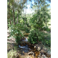 รูปถ่าย นิวแคลิโดเนีย(New Caledonia) ถนนจากตงตูตาไปทีโอ(Tontouta to Thio road) 2010-05 135