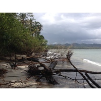 รูปถ่าย คอสตาริกา(Costa Rica) กาอุยตา(Cahuita) 2015-03 243