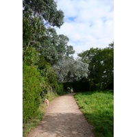 รูปถ่าย ฝรั่งเศส(France) แปร์รอส-กีแรก(Perros Guirec) โปรมาแนค(Ploumanach) 2007-08 24